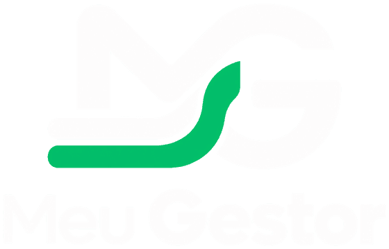 Meu Gestor